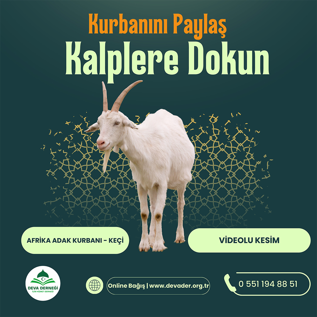 AFRİKA ADAK KURBANI - KEÇİ