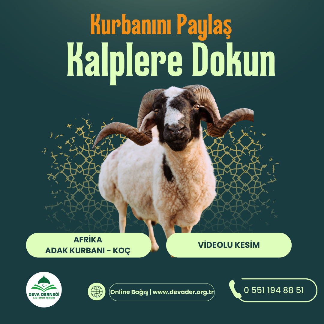 AFRİKA ADAK KURBANI - KOÇ