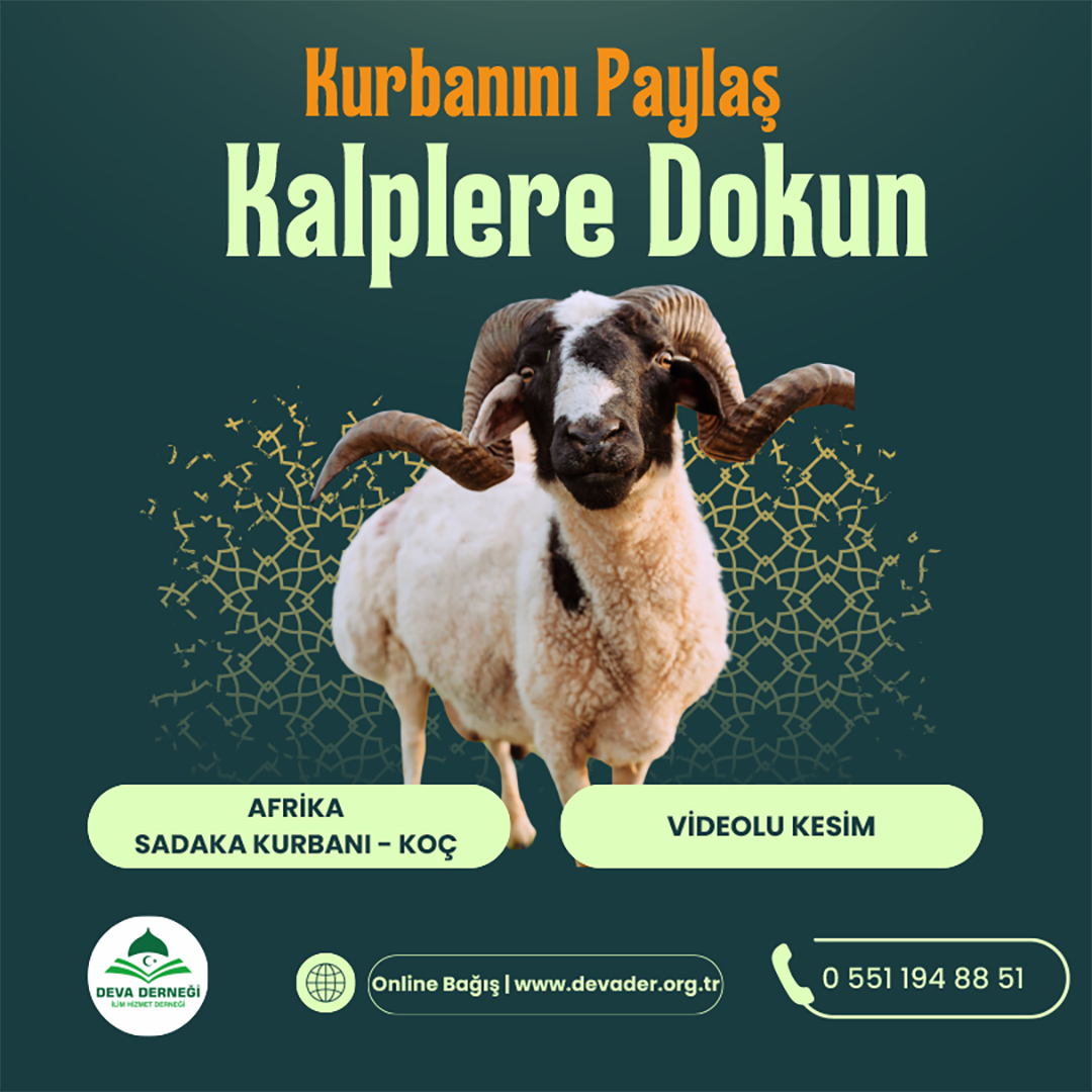AFRİKA SADAKA KURBANI - KOÇ