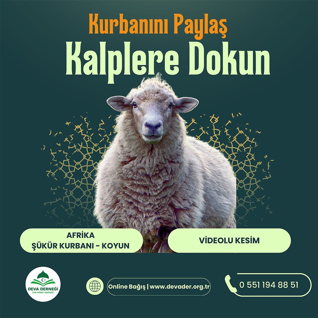 AFRİKA ŞÜKÜR KURBANI - KOYUN