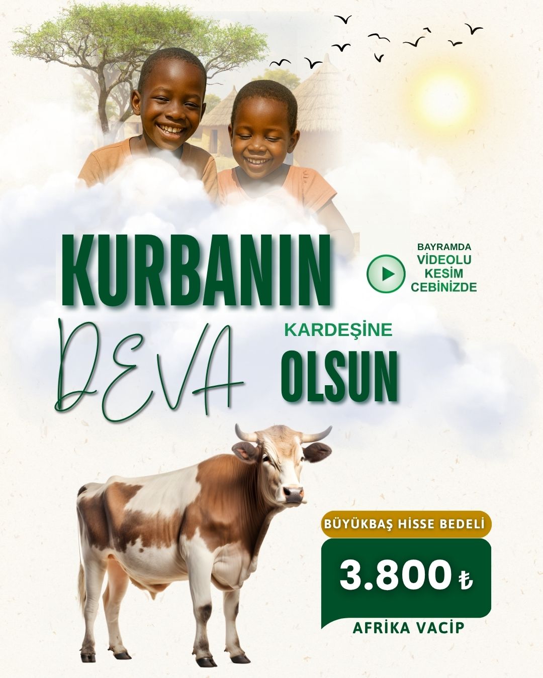 AFRİKA VACİP KURBAN HİSSESİ