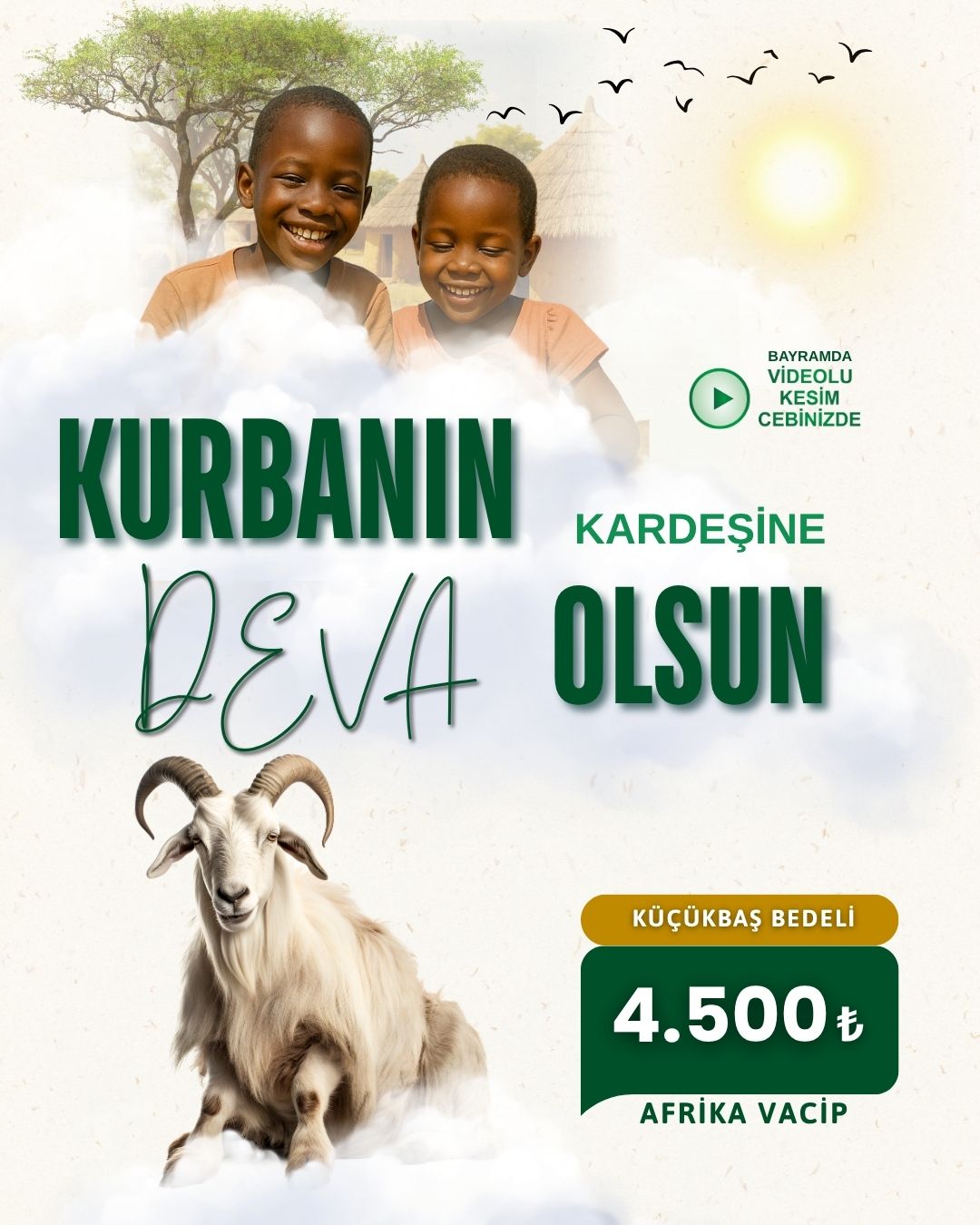 AFRİKA VACİP KURBAN BAĞIŞI KÜÇÜKBAŞ